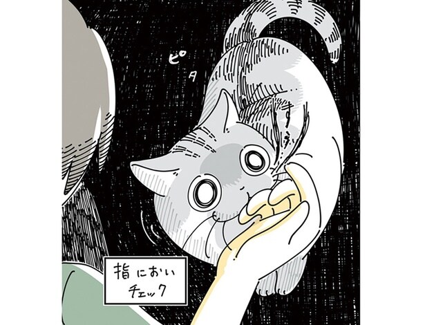 クンクン、ピタ。飼い主の指の匂いをかぐ猫の挙動が面白怖い