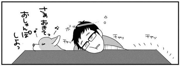 お散歩に行きたいワンコと、こたつから出たくない飼い主の攻防!