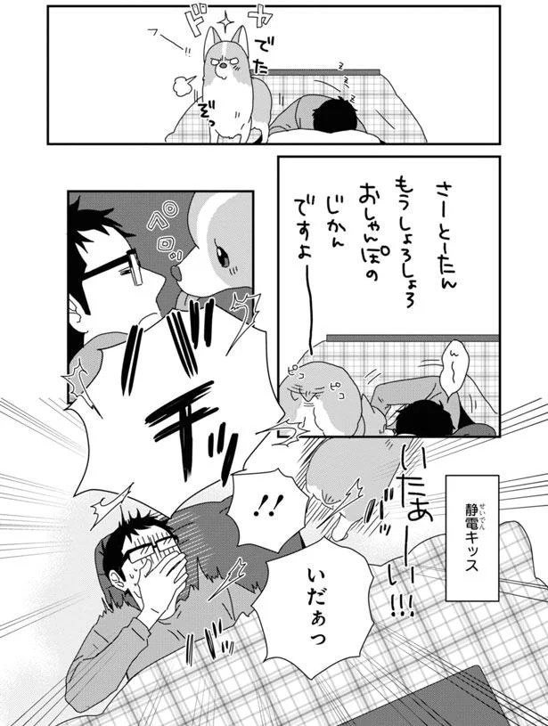 もうしょろしょろ おしゃんぽのじかんですよ~