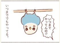 いつまでもやってる逆さ吊り。セキセイインコがぶら下がるのはどんな理由が？