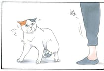 猫の目の前に現れた謎の人物。フードとマスクで覆われているのは一体誰!?