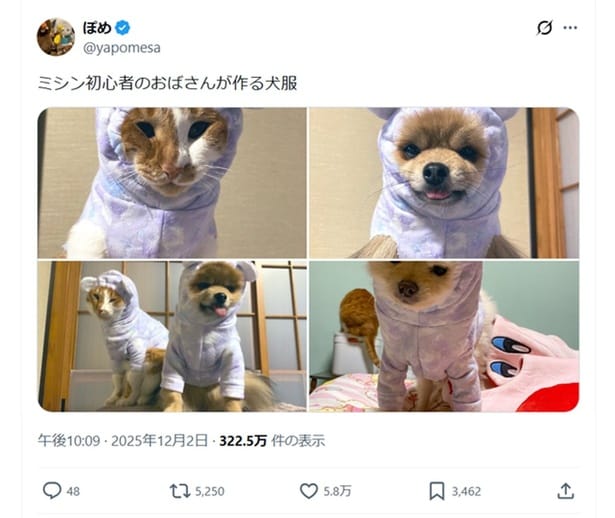 話題になった「ミシン初心者のおばさんが作る犬服」のポスト▶暖かそうな服ですが着ているこの顔を見ると…（⇒次へ）