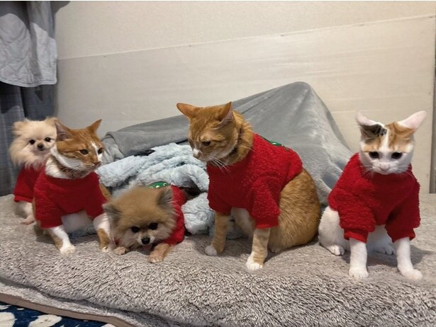 おそろいの服で記念撮影！▶袖服の試着中…（⇒次へ）