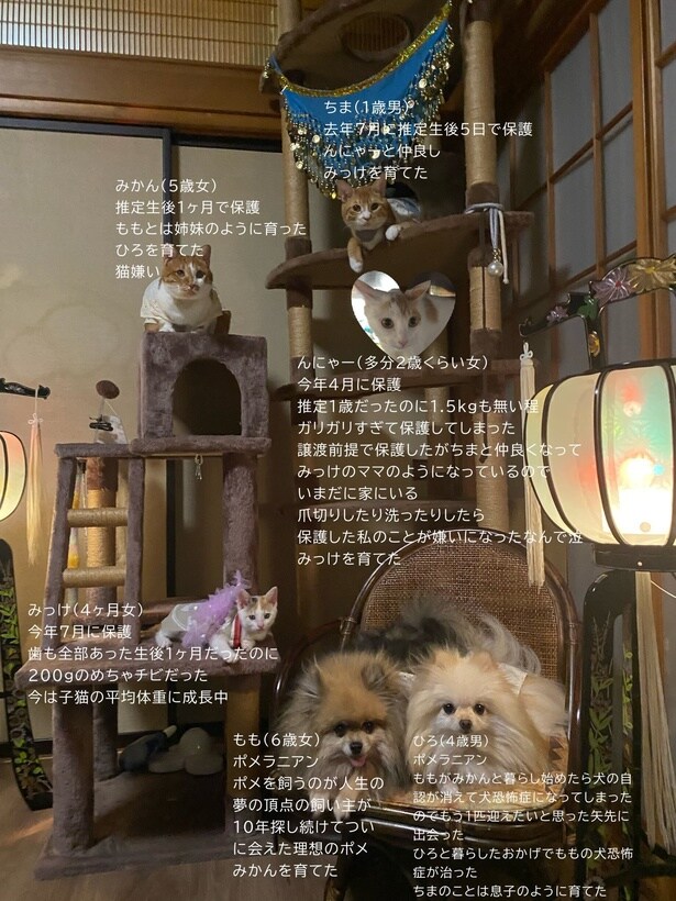 メンバー紹介▶おそろいの服で全員集合！（⇒次へ）