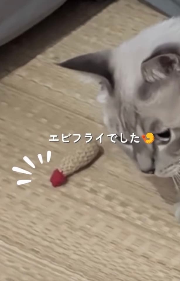 おもちゃのエビフライ▶甘えん坊な一面も（⇒次へ）