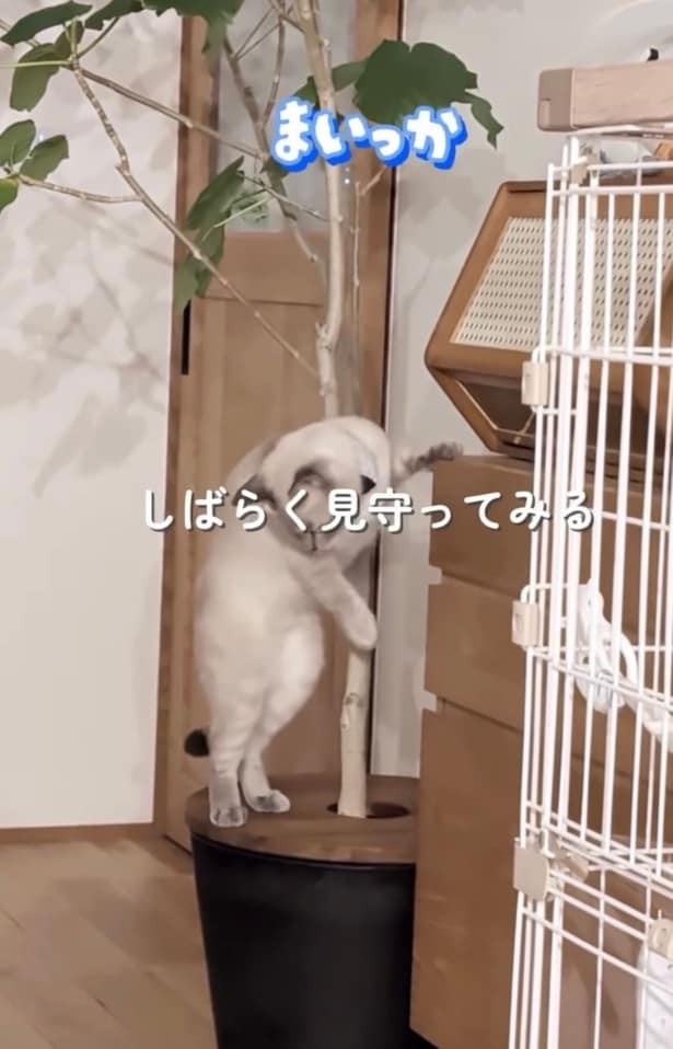 物を落としても名前を呼ばれても気にしない▶顔が見えない立ち姿はまるで…（⇒次へ）