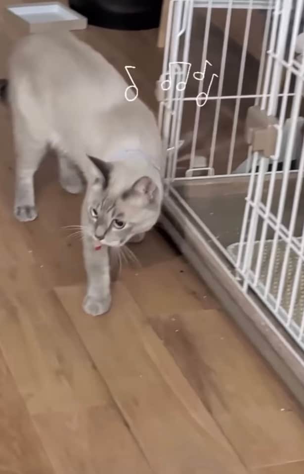 軽い足取り▶まさかの戦利品とは…！？（⇒次へ）