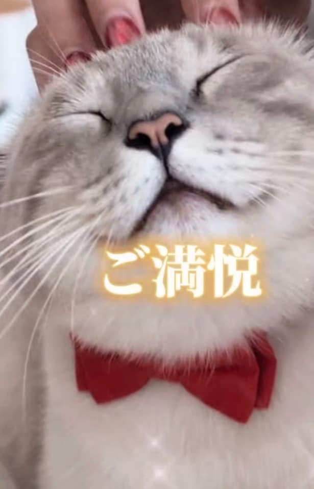 優しく頭をなでなで▶思わずうっとりして…（⇒次へ）