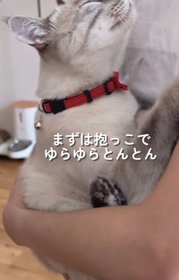 まずは抱っこで「ゆらゆらとんとん」▶次なる甘やかしは…（⇒次へ）