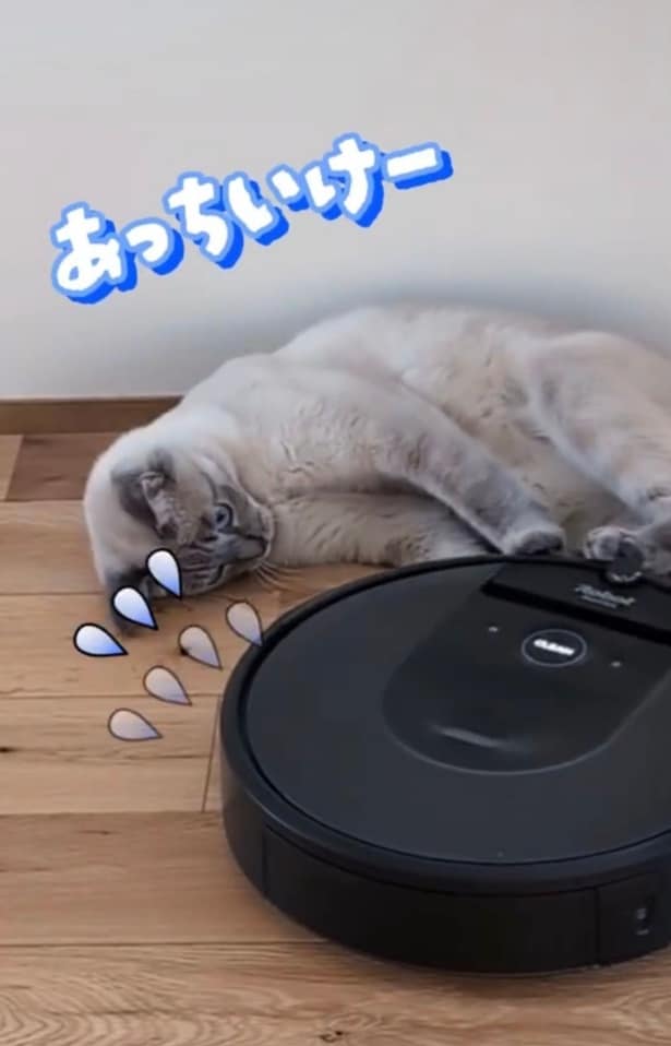 ルンバを蹴って追い返す▶ルンバが去り…（⇒次へ）