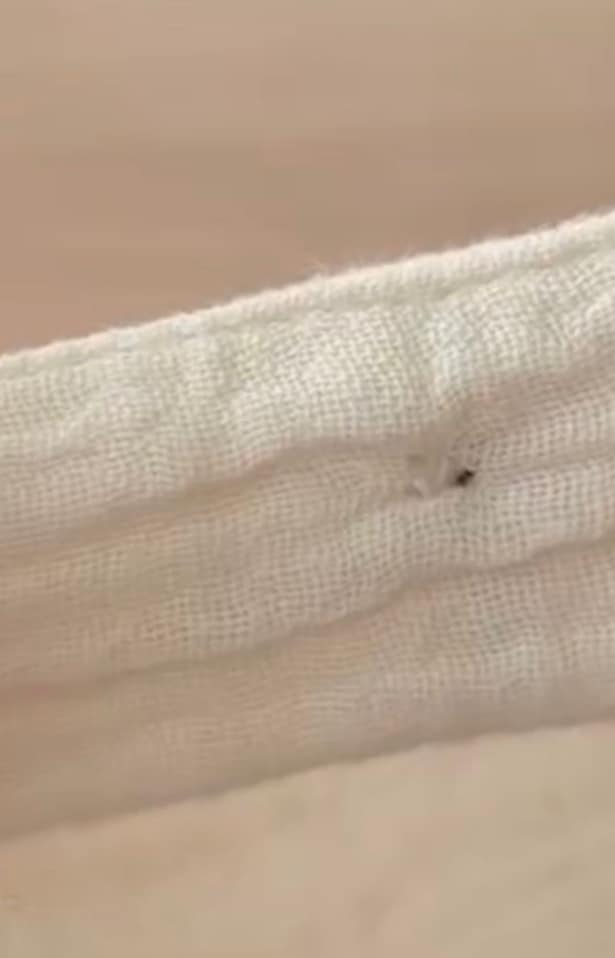 完成（裏）▶玉留めをするとき糸が短い場合は…（⇒次へ）