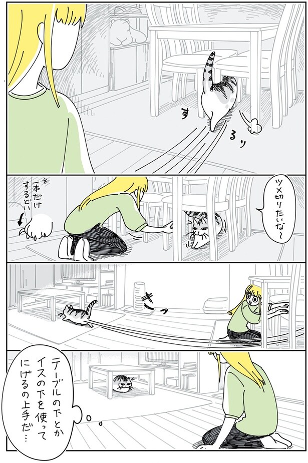 ツメ切りたいな〜