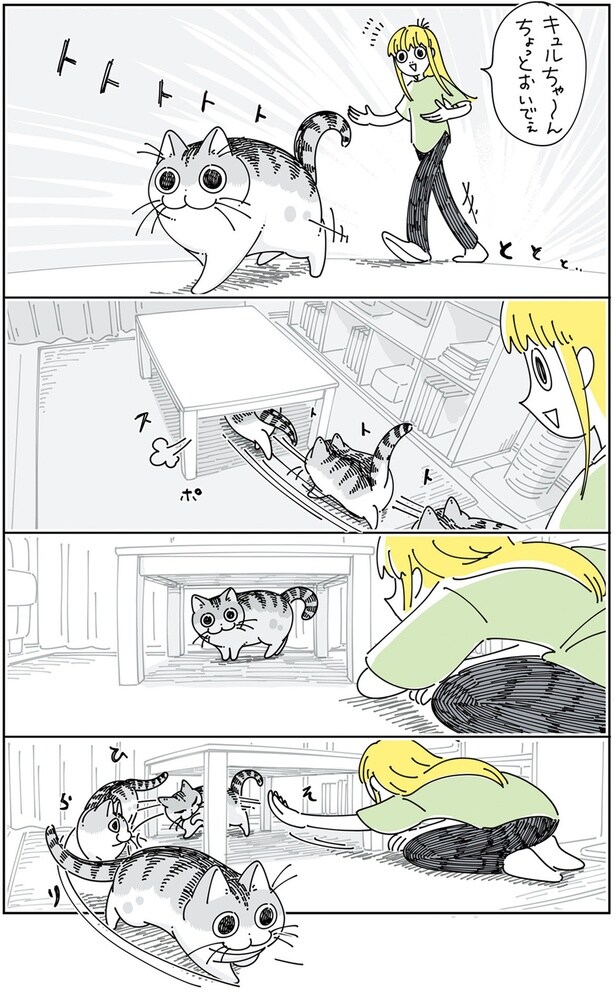 つかまらないネコ