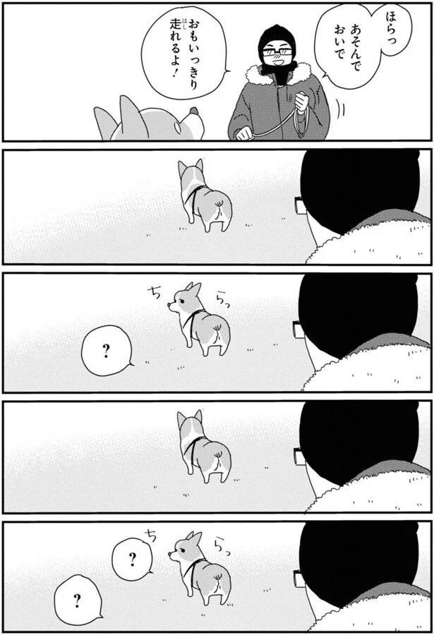 ほらっ あんでおいで