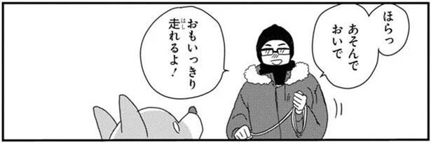 いっしょにあそぼ?飼い主にチラ見でアピールするコーギー