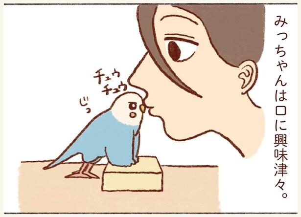 みっちゃんは口に興味津々