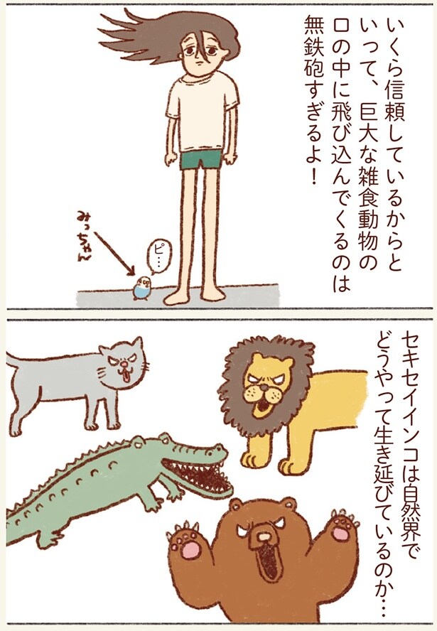 無鉄砲すぎるよ！