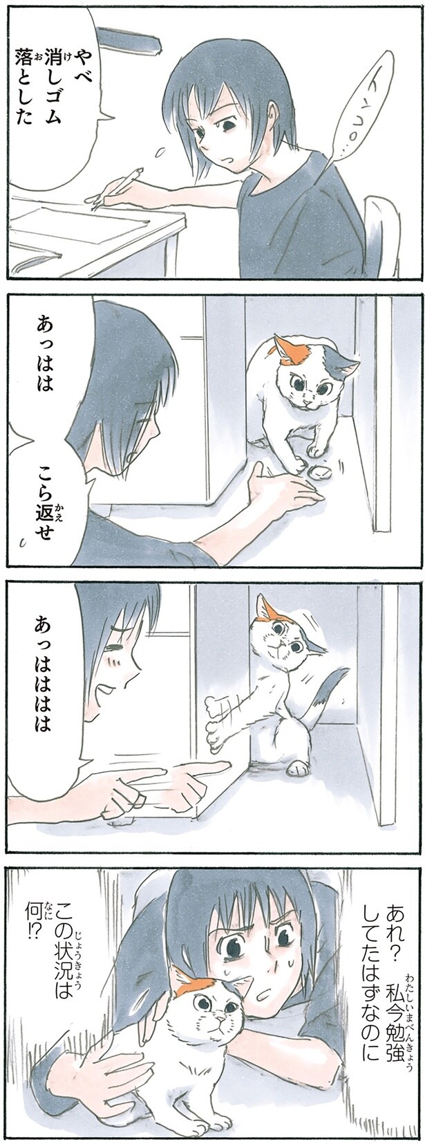 猫の魔力