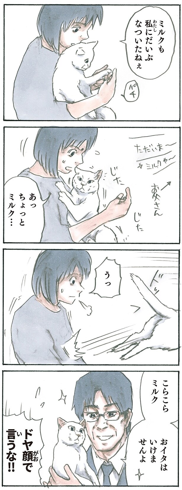やっぱりお父さん