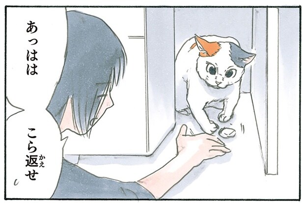 消しゴムを落とした先にいたのは猫。思わずあやしていたら気付いたこと