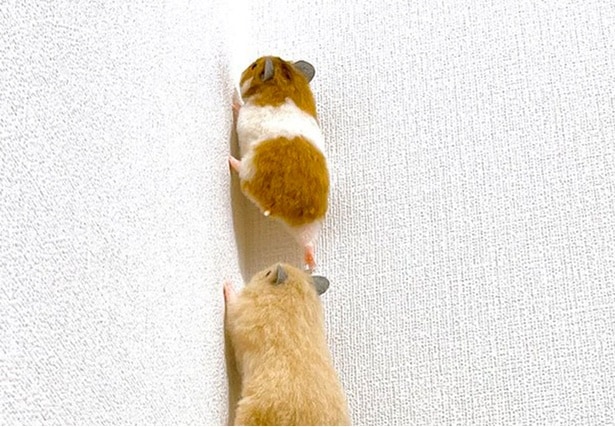 ふわふわの毛がリアルな、ぬくもりが伝わってきそうなハムスター