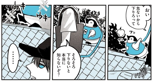 だからやめておけと! 好奇心で高いところに登ったペンギンの末路は