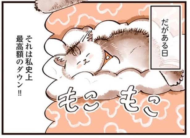 私史上最高額のダウン!!