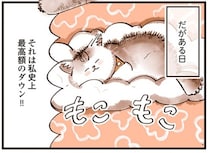 違いがわかる猫！？ 自分史上最高額のダウンの上でぬくぬく