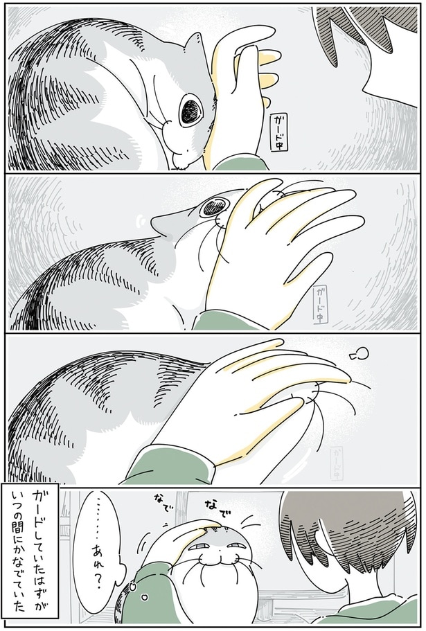 ガードしていたはずが