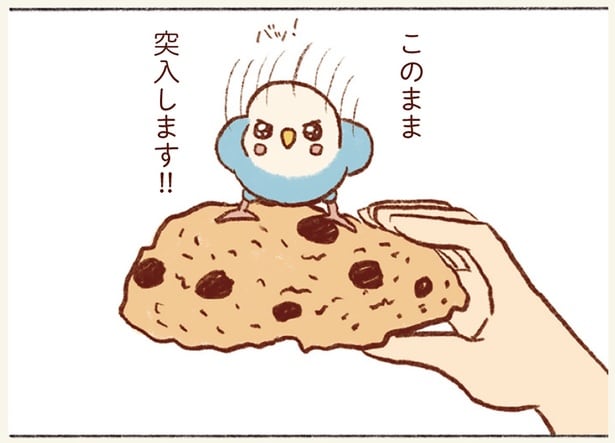 スコーンと一緒に…