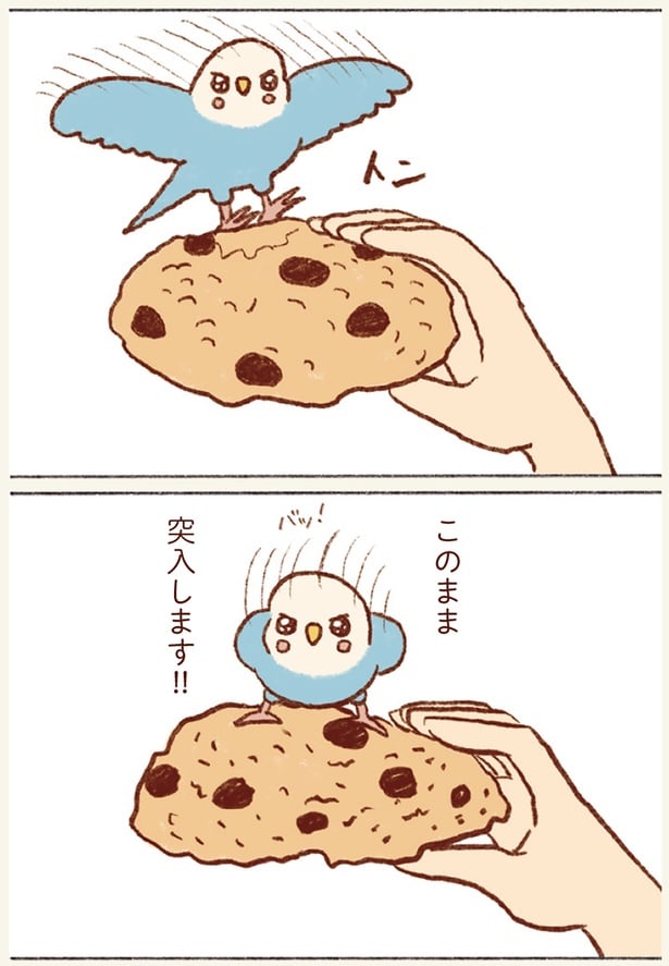 このまま突入します！！