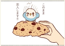 「このまま突入します」って危なすぎる！ 飼い主の口への興味が絶えないセキセイインコ