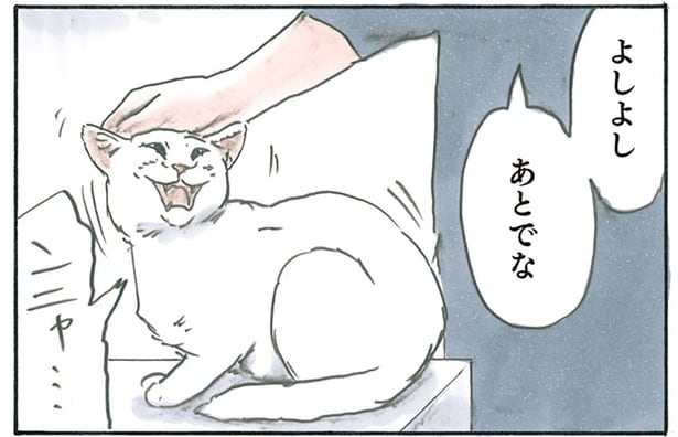 「よしよし、あとでな」仕事に集中しているお父さんに猫のじゃれつきが止まらない