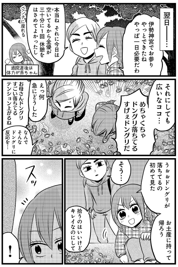 ドングリが落ちてるの初めて見た