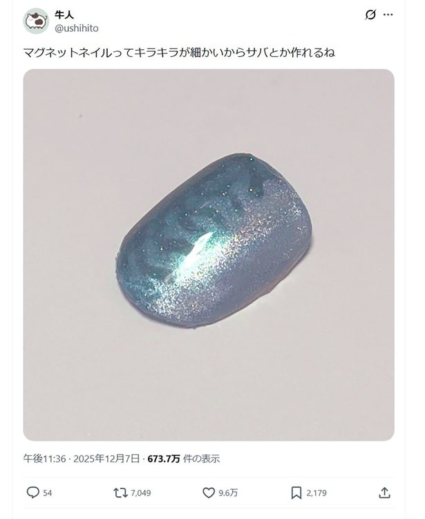 マグネットネイルでサバネイル▶焼いて食べたい…（⇒次へ）