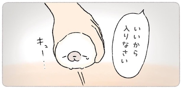 お風呂がめんどくさい。あざらしが考える理想の入浴システムとは？