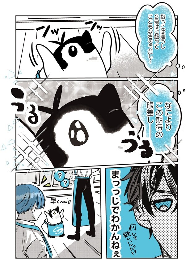 この期待の眼差し──