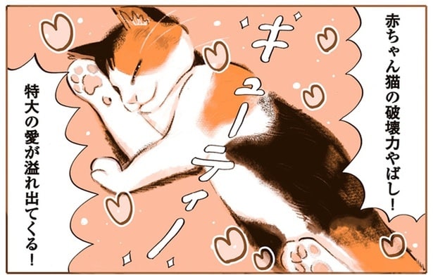 赤ちゃん猫の破壊力やばし！