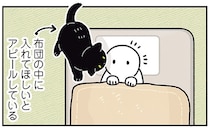 布団の上？それとも中？冬の訪れを教えてくれる黒猫ろん