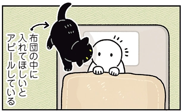 布団の上？それとも中？冬の訪れを教えてくれる黒猫ろん