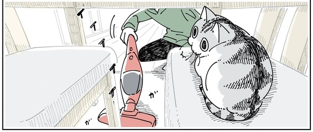 怖がっているのに逃げないのはなぜ? 掃除機をかけているときの猫の不思議