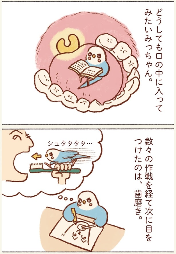 どうしても口の中に入ってみたいみっちゃん