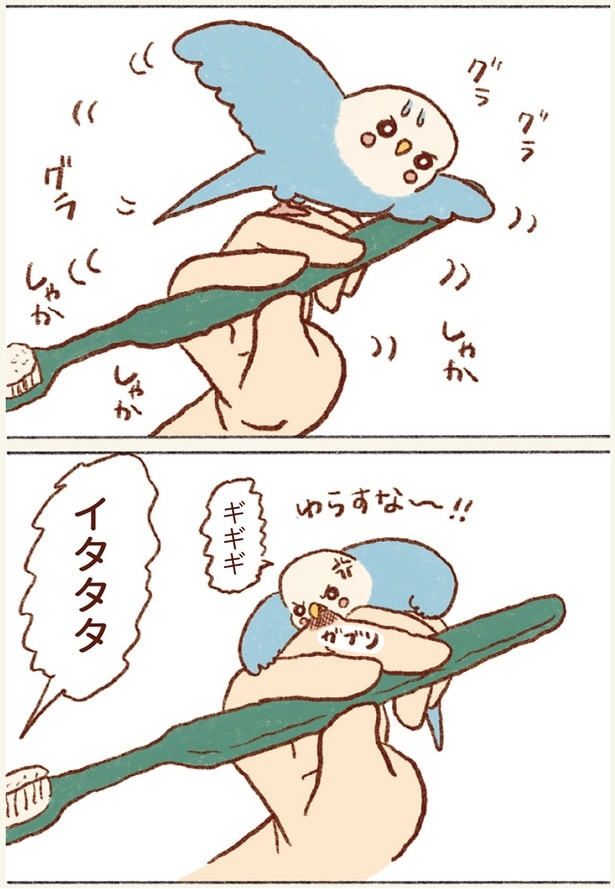 ゆらすな〜！！