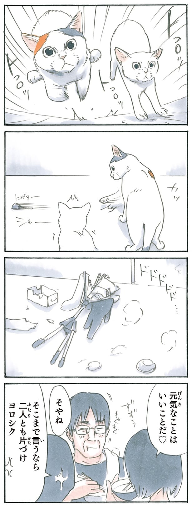 二人とも片づけヨロシク