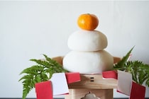 年賀状写真の撮影中なのに溶けていく…！可愛いお餅に「いいねを100回押したい」