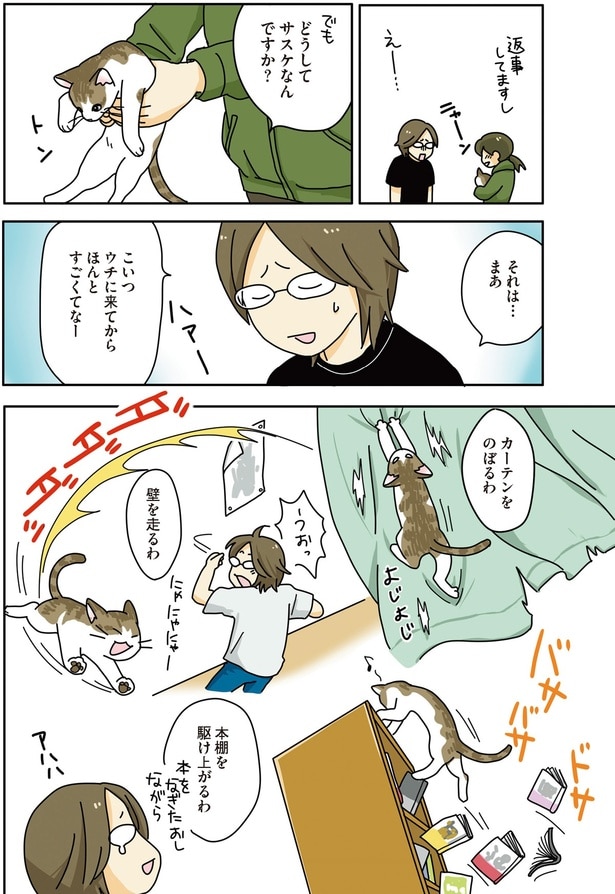 カーテンをのぼるわ