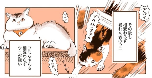 相変わらずウニが嫌い