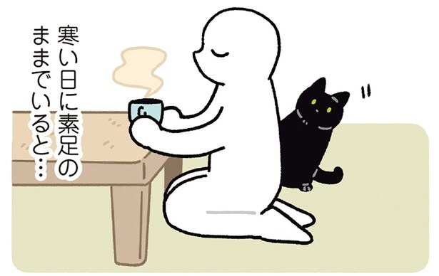 冷えた足元がぽかぽかに。黒猫ろんのふわふわなお腹