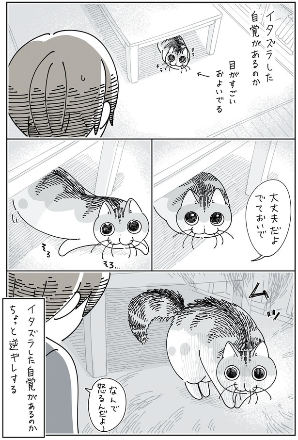 ちょっと逆ギレ