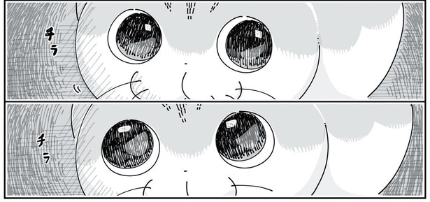 突然の大きな音! 猫が物を落としたと察して向かうと、なんだか目が泳いでいて